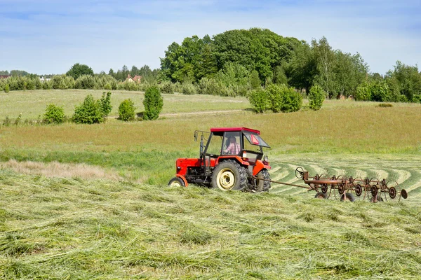 Трактор с вращающимися граблями в летнее время — стоковое фото