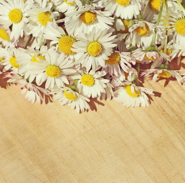 Letní květy na vinobraní dřevěné pozadí — Stock fotografie