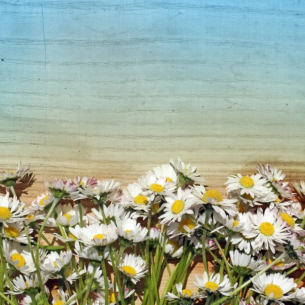 Antika ahşap zemin üzerine yaz çiçek — Stok fotoğraf