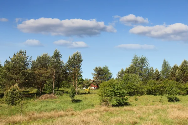 Sommerlandschaft — Stockfoto