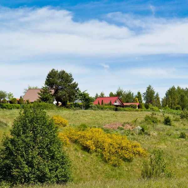 Paesaggio estivo — Foto Stock