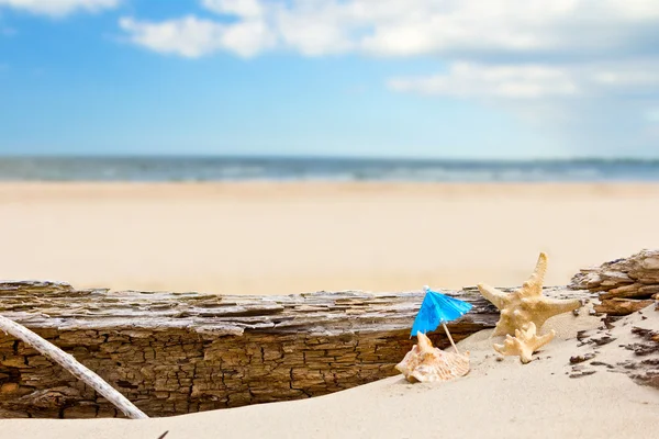 Vacances d'été à la plage — Photo