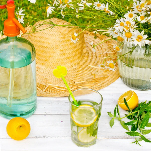 Limonada cítrica, bebida de verão no jardim — Fotografia de Stock