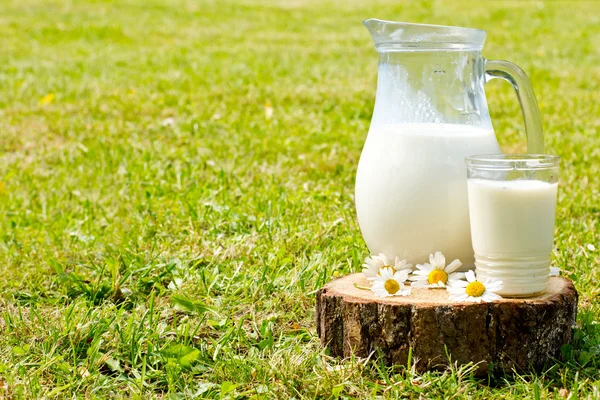 Mjölkkanna och glas på gräset med chamomiles — Stockfoto