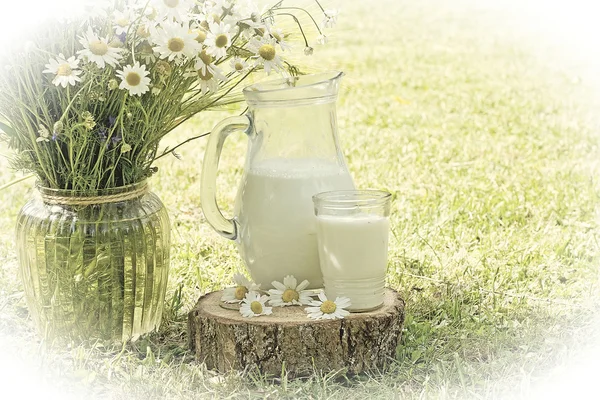 Milk jug and glass on the grass with chamomiles — Stock Photo, Image