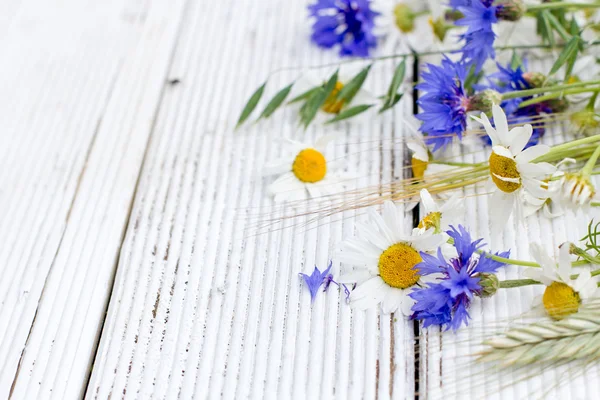 Fleurs sauvages et seigle d'été sur fond en bois — Photo