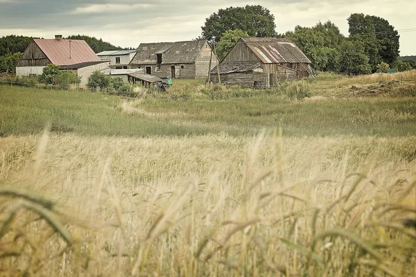 Weizenfeld und der alte Bauernhof im rustikalen Stil — Stockfoto