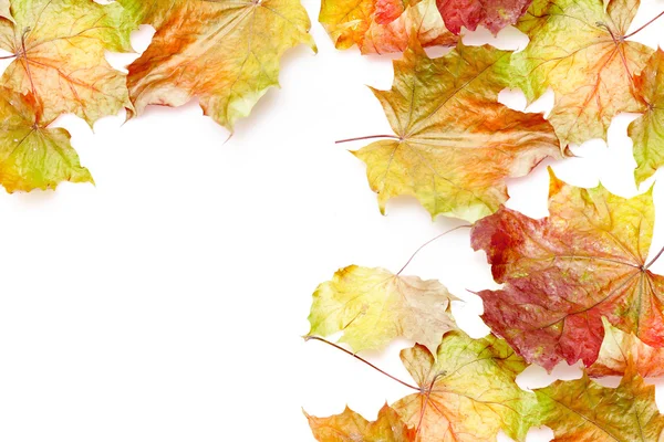 Marco de borde de hojas de otoño de colores sobre fondo blanco — Foto de Stock