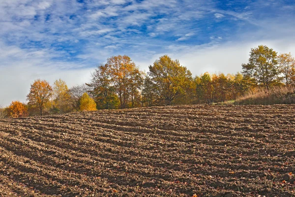 Farmland background landscape — Stock Photo, Image