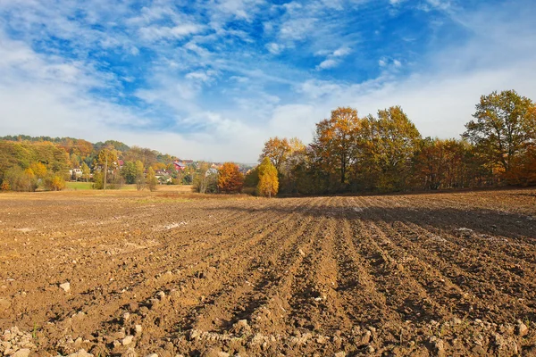 Tarım arazileri arka plan manzara — Stok fotoğraf