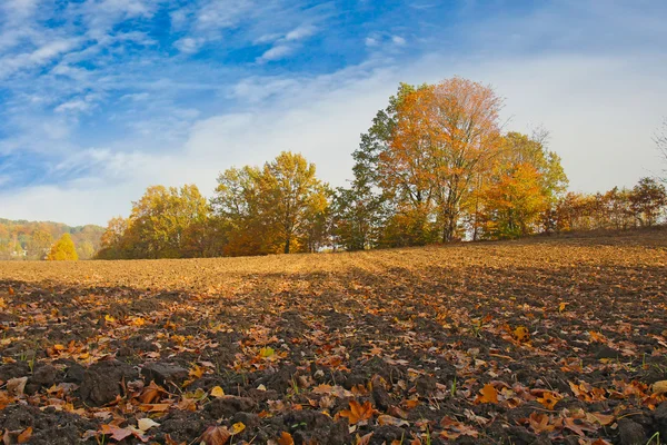 Farmland background landscape — Stock Photo, Image