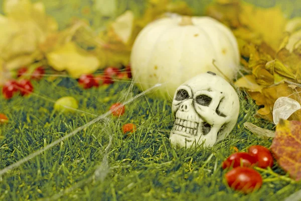 Halloween háttér, a sütőtök és a koponya a fűben — Stock Fotó