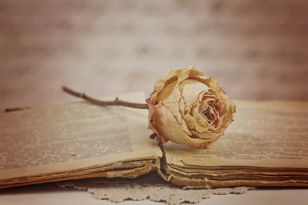 Rosa secca su un vecchio libro in stile vintage — Foto Stock