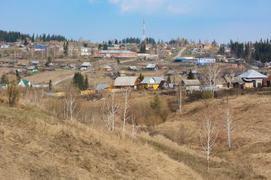 Sibirya köyü kenarına tayga