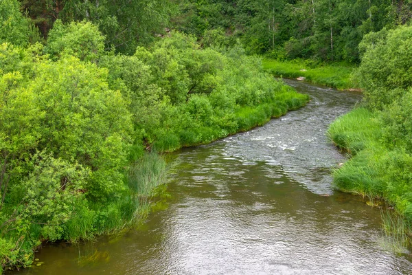 Pequeno Rio Florestal Alchedat Região Kemerovo Kuzbass — Fotografia de Stock