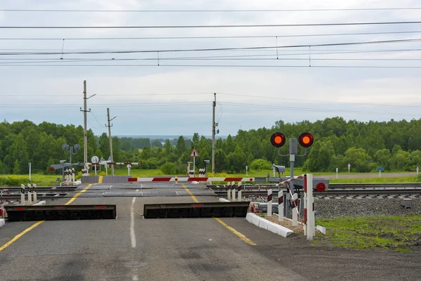 Railway Crossing Trans Siberian Railway Equipped Automatic Barrier Automatic Barriers — Stock Photo, Image