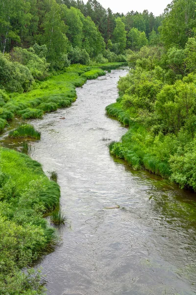 Small Picturesque Forest River Alchedat Kemerovo Region Kuzbass — Stock Photo, Image