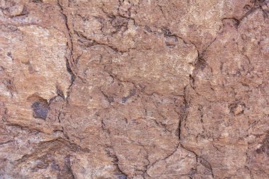 Artyshta, Kemerovo bölgesi-Kuzbass yakınlarındaki eski bir mermer ocağının gelişimi sırasında taş dokusu