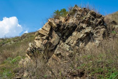 Balakhonka köyü yakınlarındaki Tom Nehri kıyısında taşçı.  