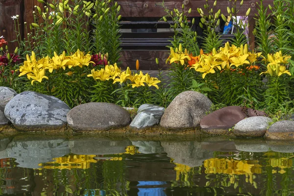 Bel Étang Décoratif Décoré Gros Rochers Lys Jaunes — Photo