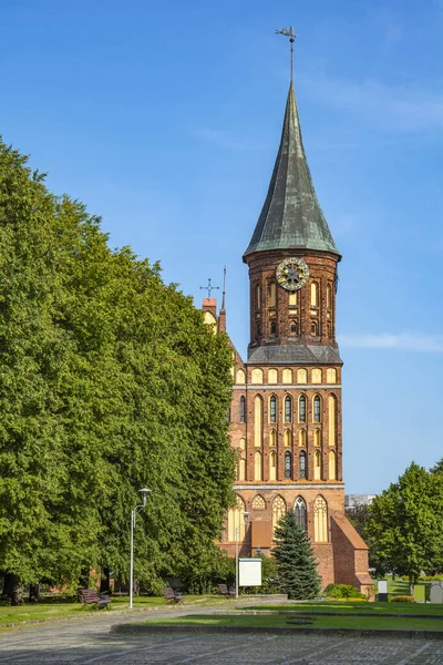 Kaliningrado Antiga Catedral Konigsberg Ilha Kent Restaurada Após Destruição Fotografia De Stock