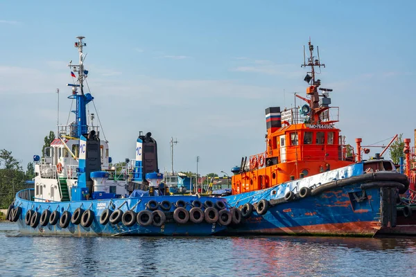 Kaliningrado Rusia Agosto 2017 Remolcadores Muelle Puerto Rusia — Foto de Stock