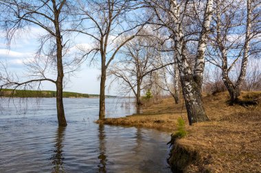 Tom Nehri 'nin kıyısı bahar seli sırasında taştı, Kemerovo bölgesi-Kuzbass