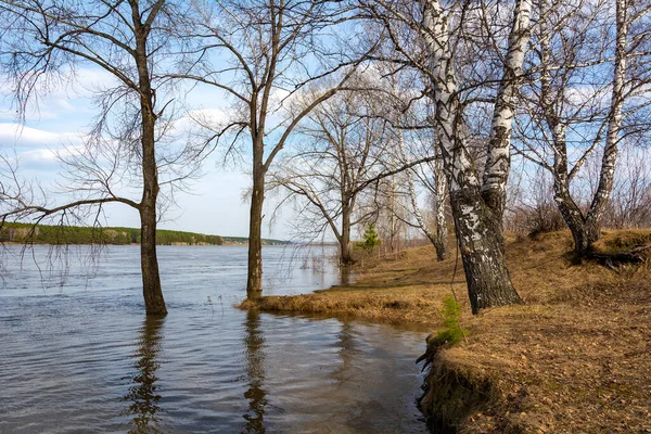 Riva Del Fiume Tom Allagato Durante Alluvione Primaverile Regione Kemerovo — Foto Stock