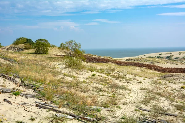 卡里宁格勒地区的库罗尼亚喷口上 一片独特的沙丘景观 — 图库照片