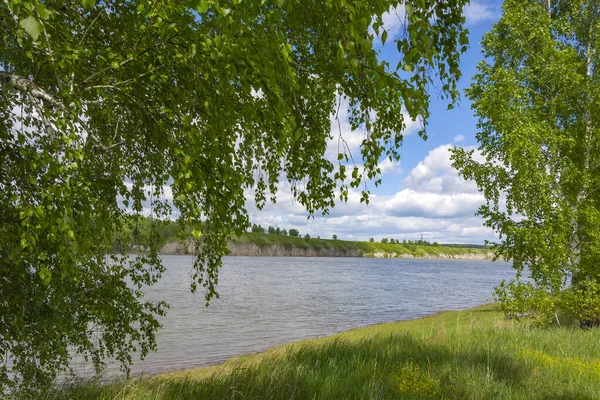 Rivière Tom Inondation Printanière Région Kemerovo Kuzbass — Photo