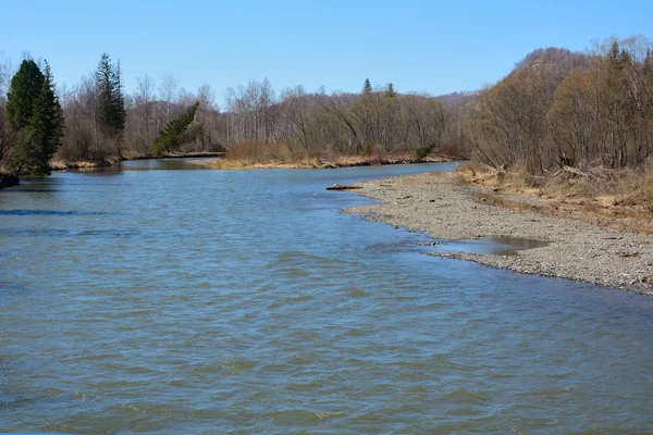 Mountain river Urup i västra Sibirien — Stockfoto