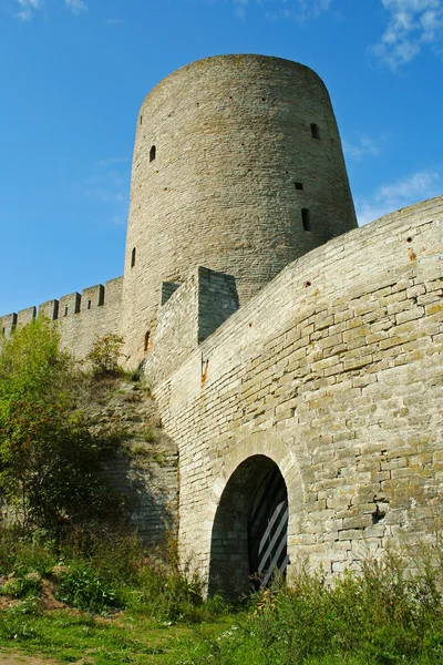 Pevnost Ivangorod hrdlem věž — Stock fotografie