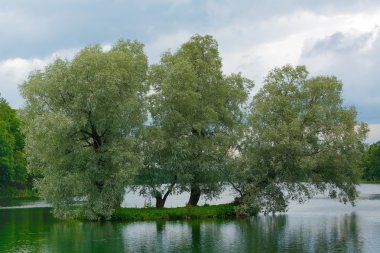 Gatchina, parkta göle bir ada