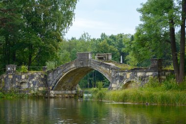 Gatchina, kambur köprü beyaz lake '
