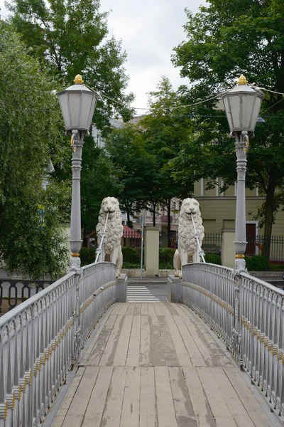 Sankt-Petersburg, Lion bron — Stockfoto