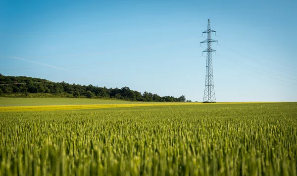 Electricity — Stock Photo, Image