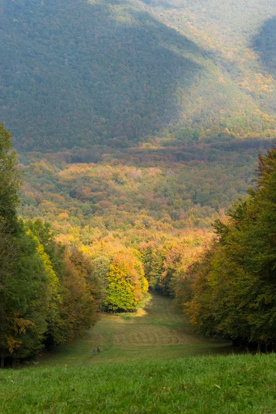 Парк восени — стокове фото