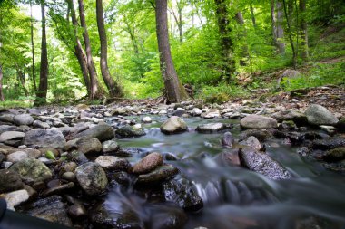 Dağ dere ve koşma su