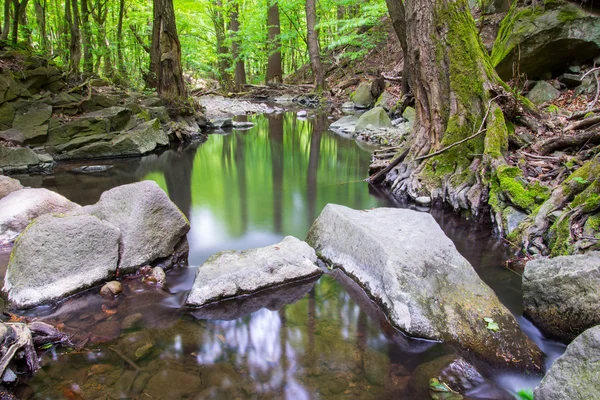 Slow river in the forest — Stock Photo, Image