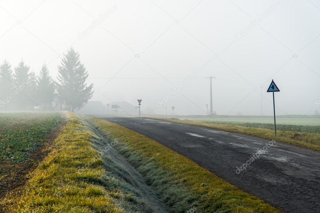 foggy old road
