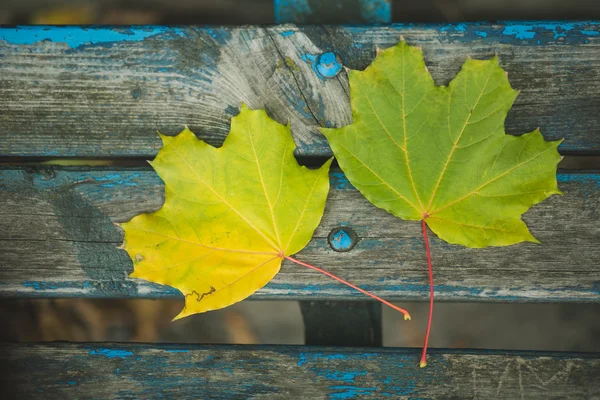 Abstraktní pozadí podzimních listů — Stock fotografie