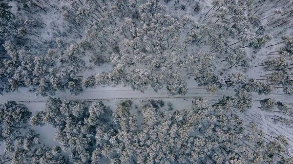 Vue aérienne de la forêt de montagne d'hiver. Vue aérienne de montagne — Photo