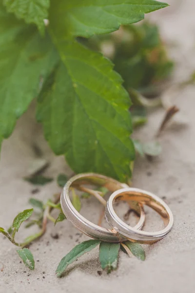 Anéis de casamento — Fotografia de Stock