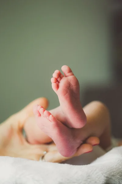 Adorable newborn baby feet — Stok fotoğraf