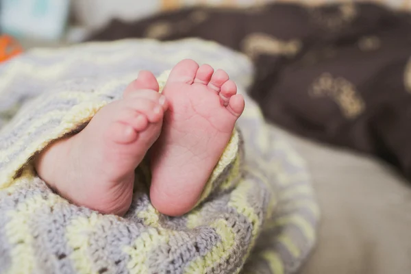 Adorável recém-nascido bebê pés — Fotografia de Stock