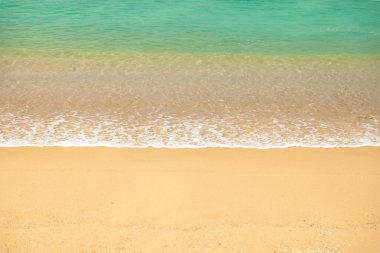 tropikal sörf hattı