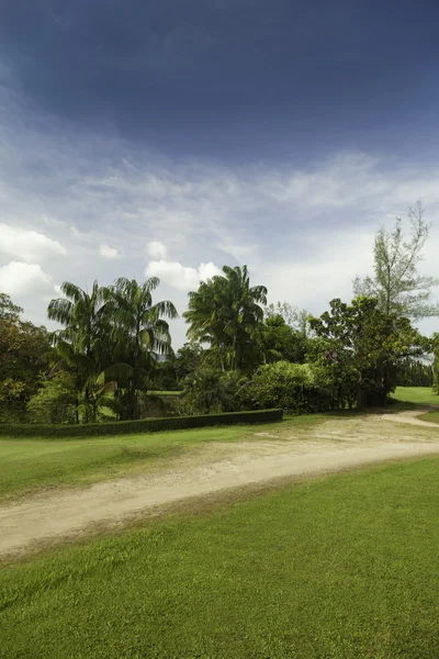 Paisagem tropical . — Fotografia de Stock