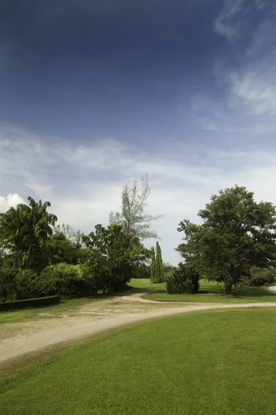 Tropical landscape. — Stock Photo, Image