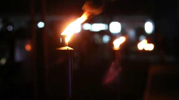 Flamboyantes torches nuit — Video