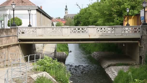 Pequena ponte sobre o rio Eger Hungria — Vídeo de Stock